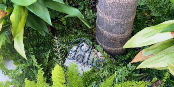 Pourquoi choisir Patio 53 ?